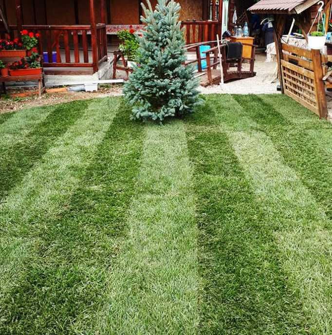 Montaj Gazon Rulou – Curte Gata în 24 de Ore