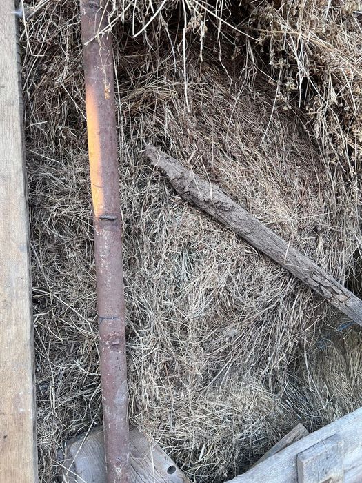 Vând baloți de lucernă