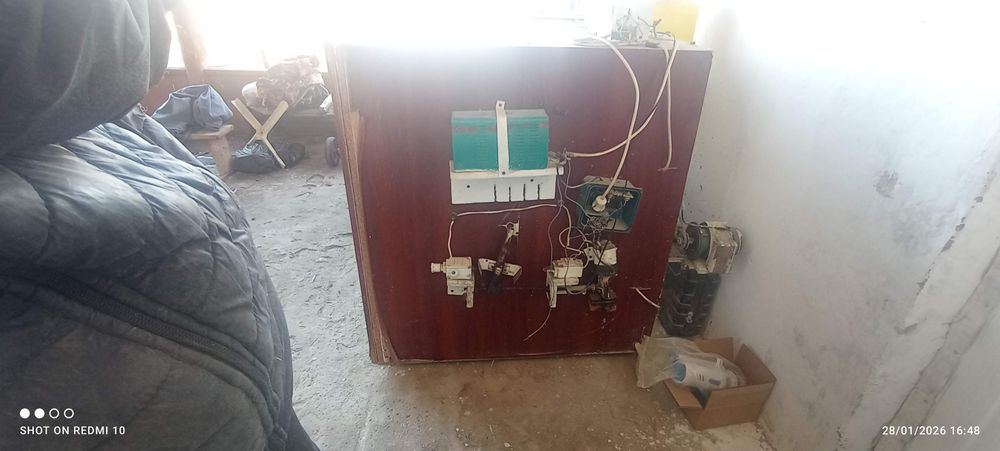 Ibqubotoʻr va vadno'y 1200ta tuxum oladi ichiga