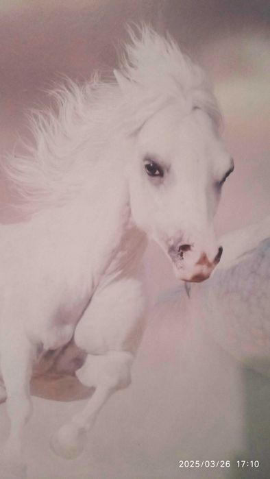 Продам  картину.