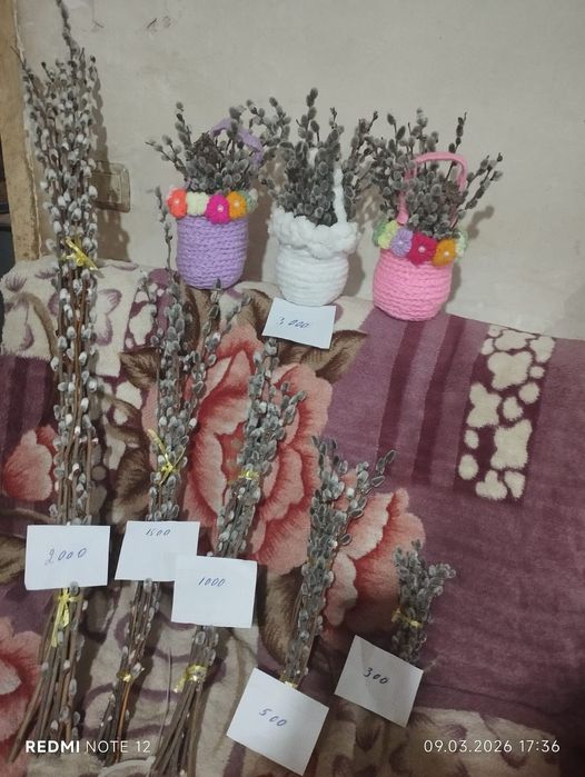 Продам верба горная