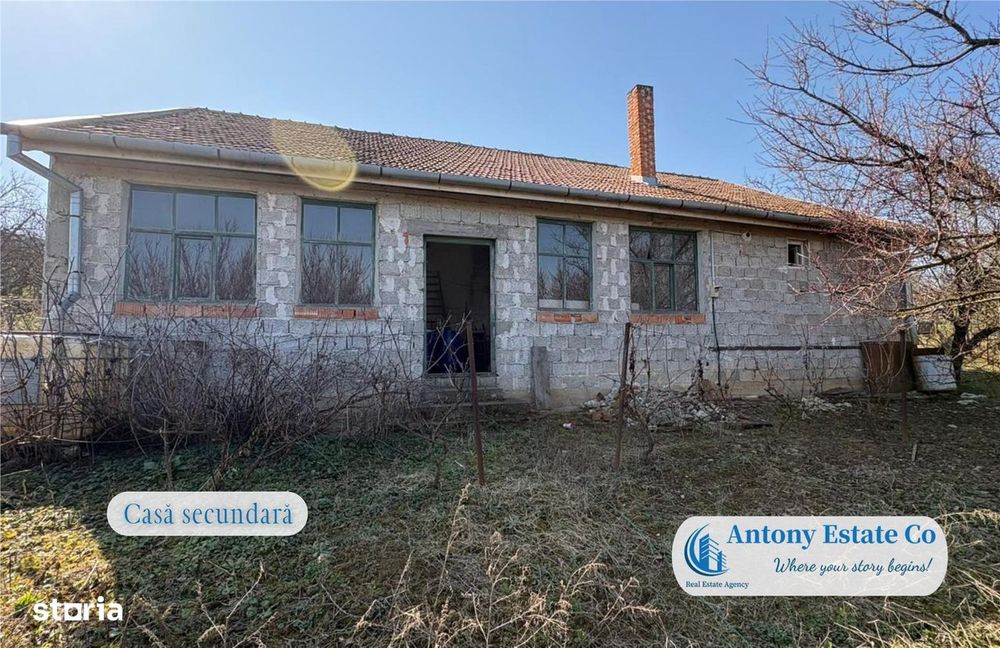 Casa cu Livada – proprietate deosebita cu livada si curte mare