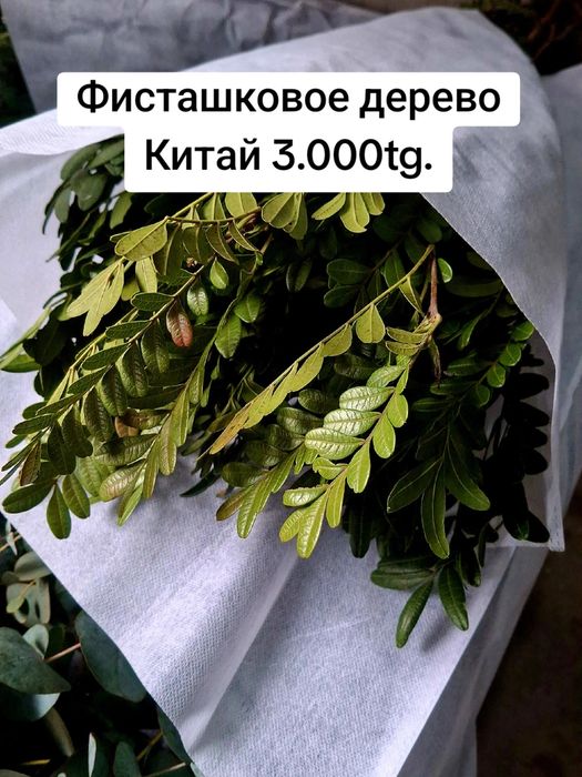 Розы, спрей-розы, гортензия, лизиантус, хризантема, эвкалипт Алматы!