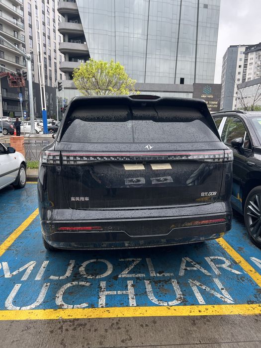 Dongfeng 008 Ultra Rest2025