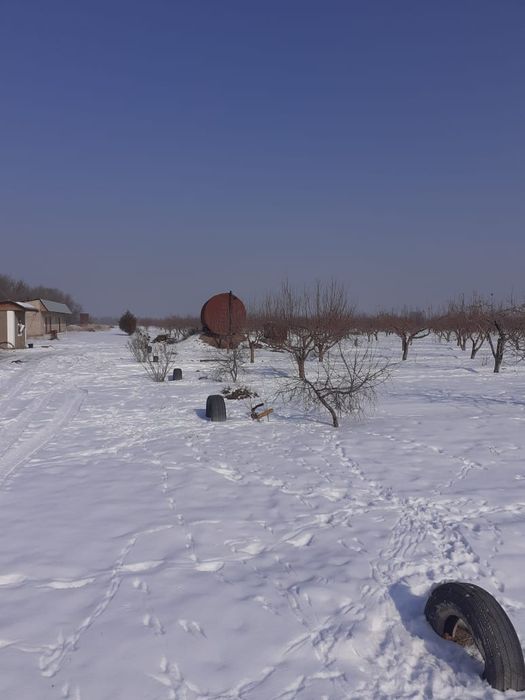 Сдам в аренду фазенду Николаевка