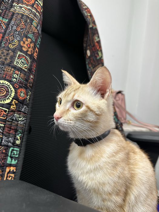 Ищет надежные руки