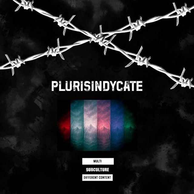 группа Plurisyndicate ищет барабанщика в группу.