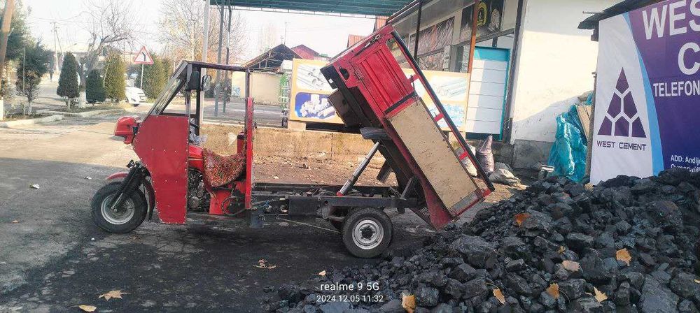 Муравей-самосвал, 2018 йил