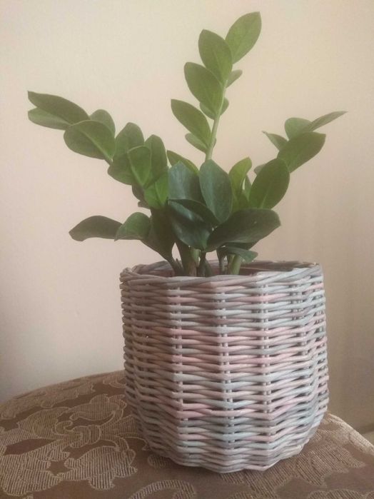 Плетенные корзины, кашпо, короба