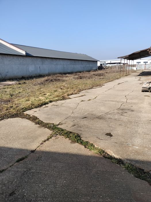 HALA DE VANZARE , RATE ,  Acces Tir, 834 mp+teren 1490 mp, Dn13, MIELE