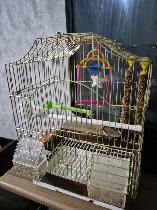 Продам клетку для попугая