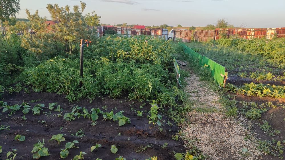 продам дачу вишенка