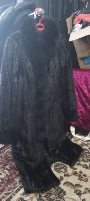 Айоллар шубаси 46