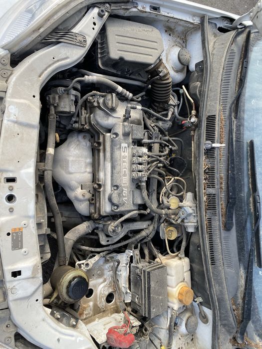 Neksa3 gaz bor 2020