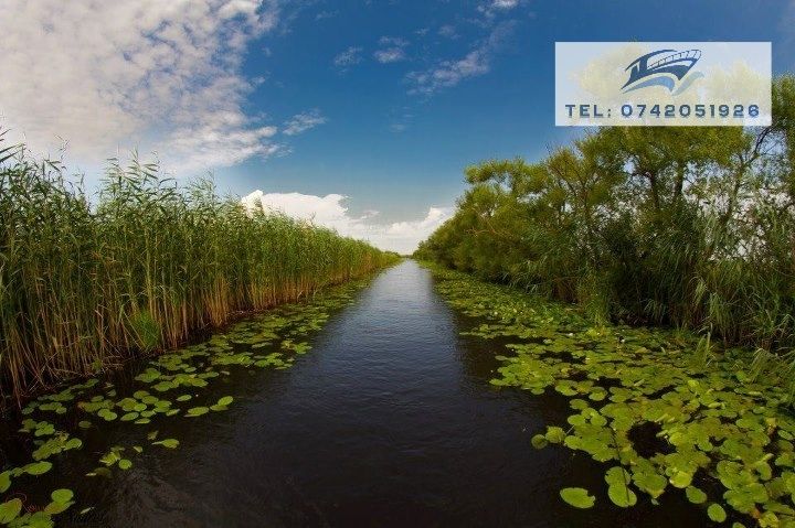 Excursii cu barca în Delta Dunării - Plecare din Mahmudia, jud. Tulcea