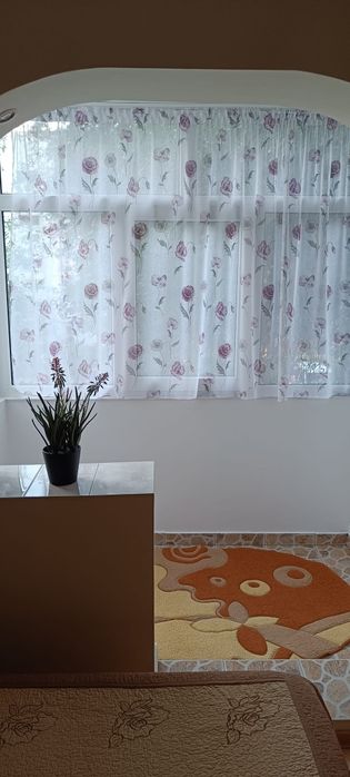 Fara agentii-Ap.f.curat.langa.Iulius Mall