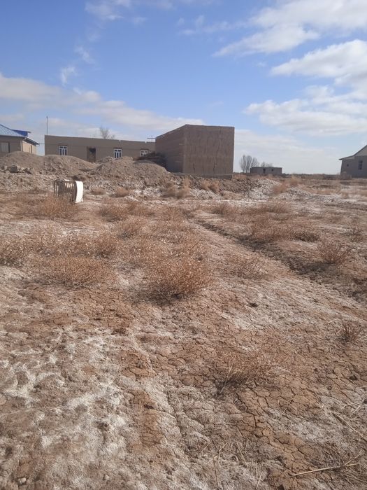 Dakementi ozimi nomimda