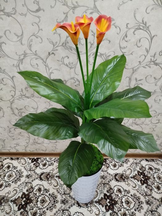 Katta Kala suniy dekarativ gullarimiz sotiladi