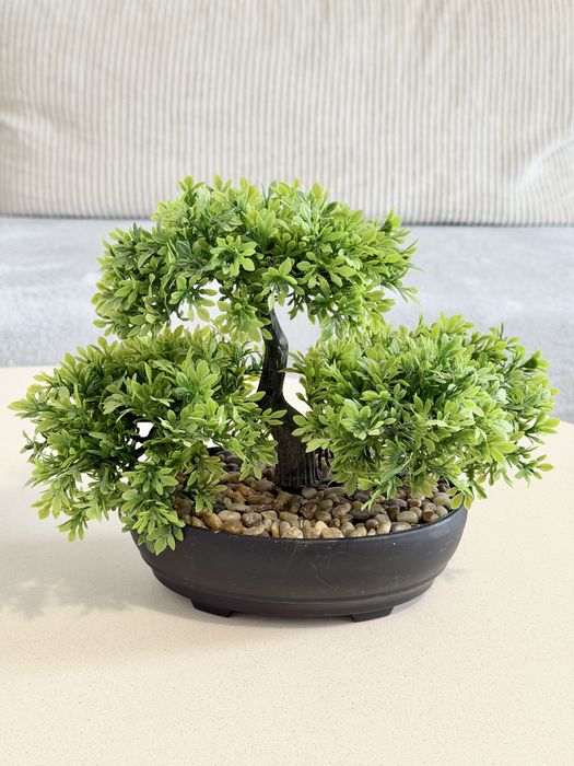 Vand planta artificiala Bonsai