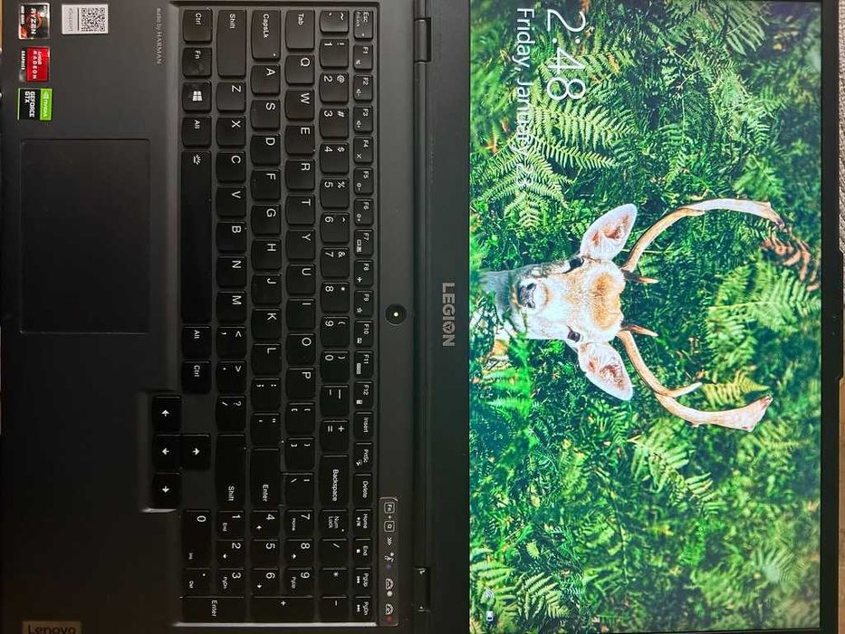 Lenovo Legion 5 15ARH05H