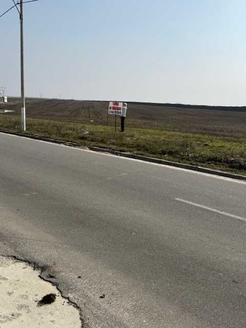 Teren Intravilan Pielesti, 7274mp