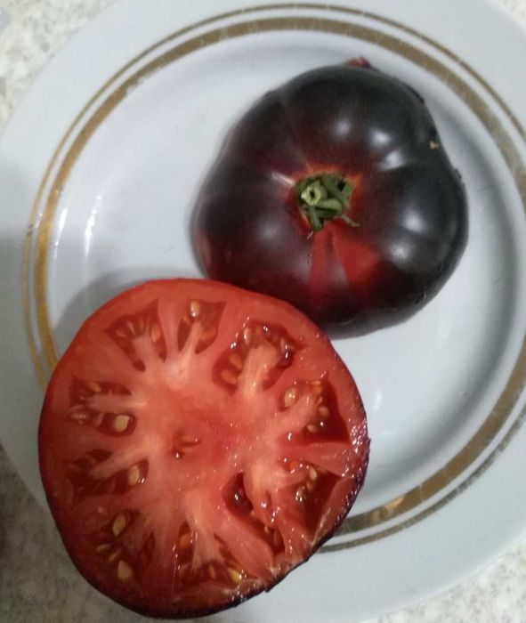 Продам семена томатов