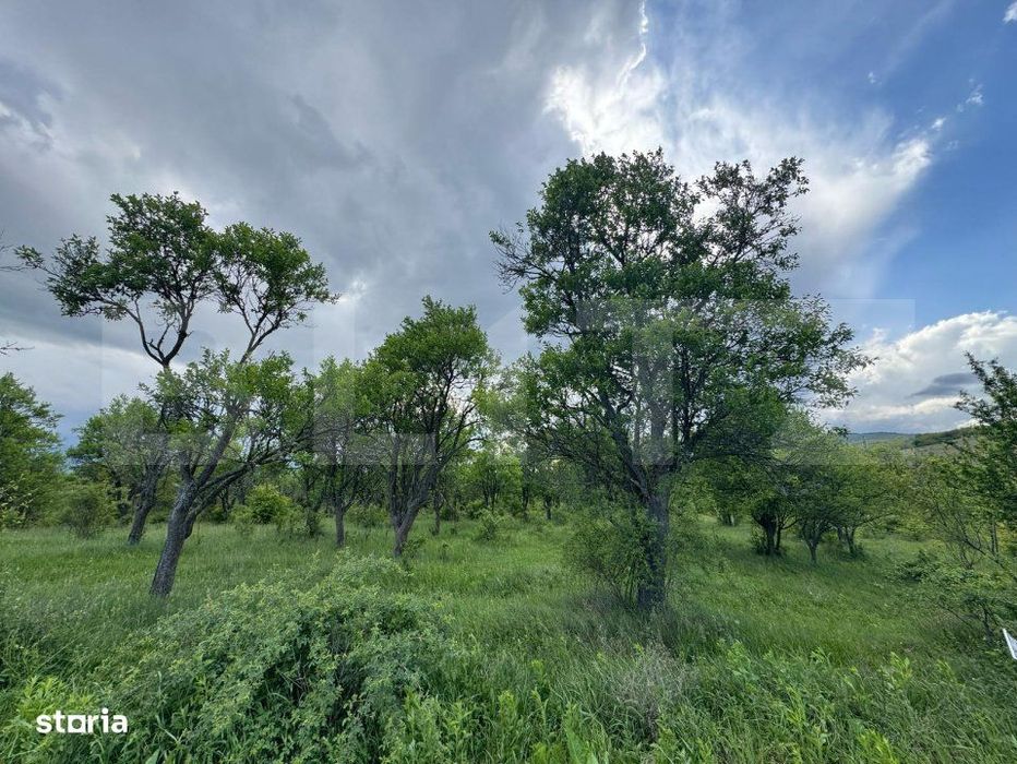 Teren extravilan de vanzare, 5305 mp, in apropiere de Hateg