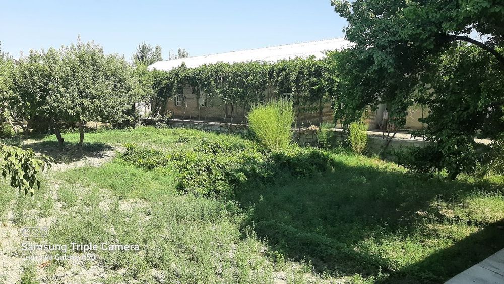 Участка Бухоро вил Шофиркон тумани махаллакози махалласида жойлашган