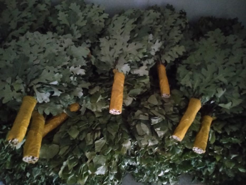 Веники для бани березовые