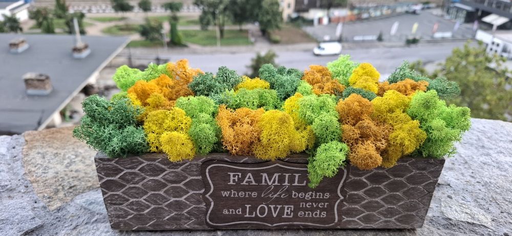 Кашпа със скандинавски мъх