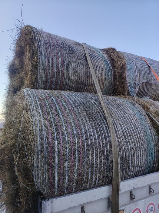 Vând baloti de fan rotunzi.