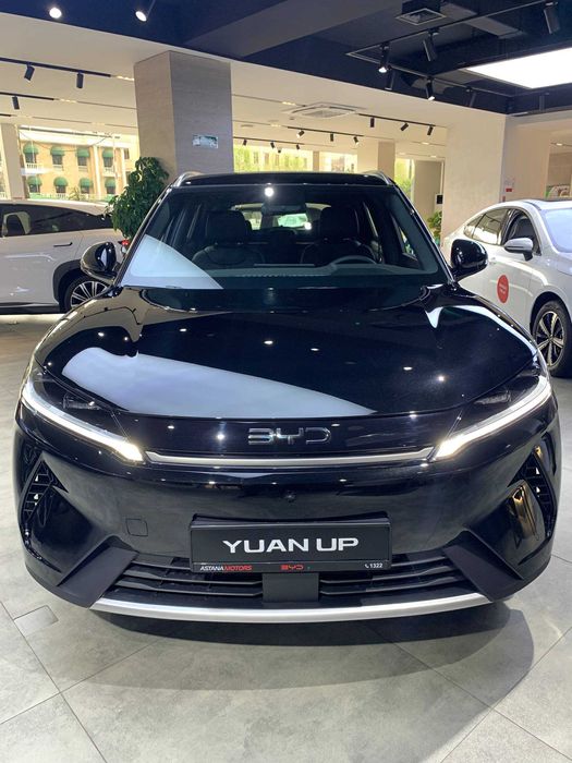 Yuan up DM-i 110 km Flagship