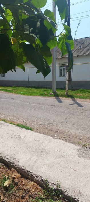 Оккургонда уй сотелад 22 сутек 4 хона