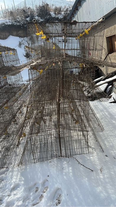 Клетки для кур несушек