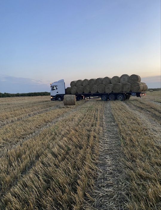 Baloti paie rotunzi 140/120