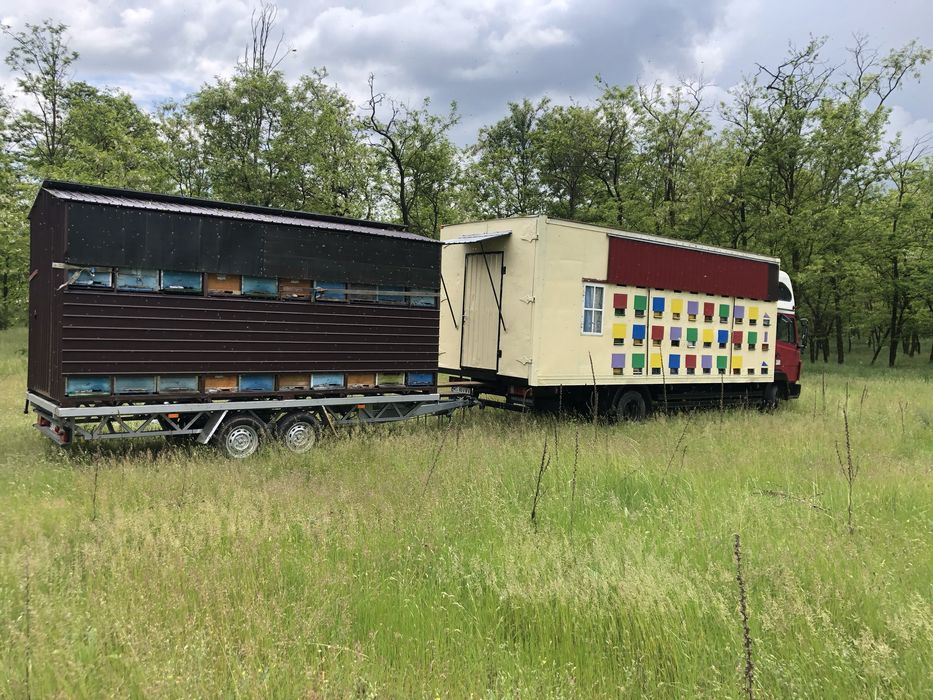 remorca pavilion apicola