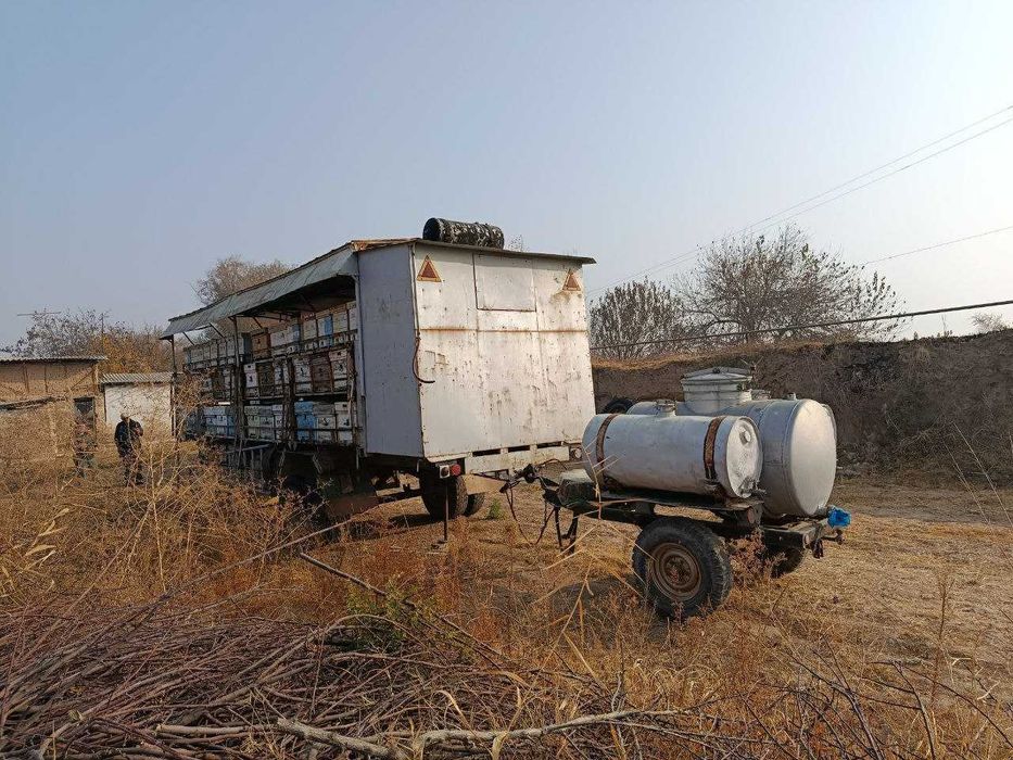 Продаётся ПАСЕКА