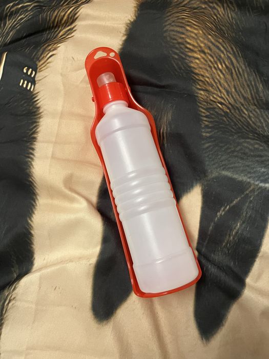 Амуниция для собак