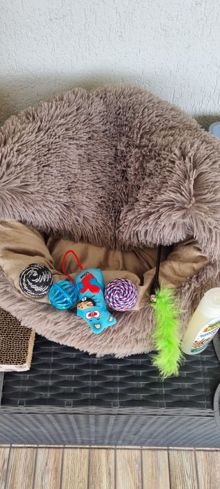 Set accesorii si hrana pisici