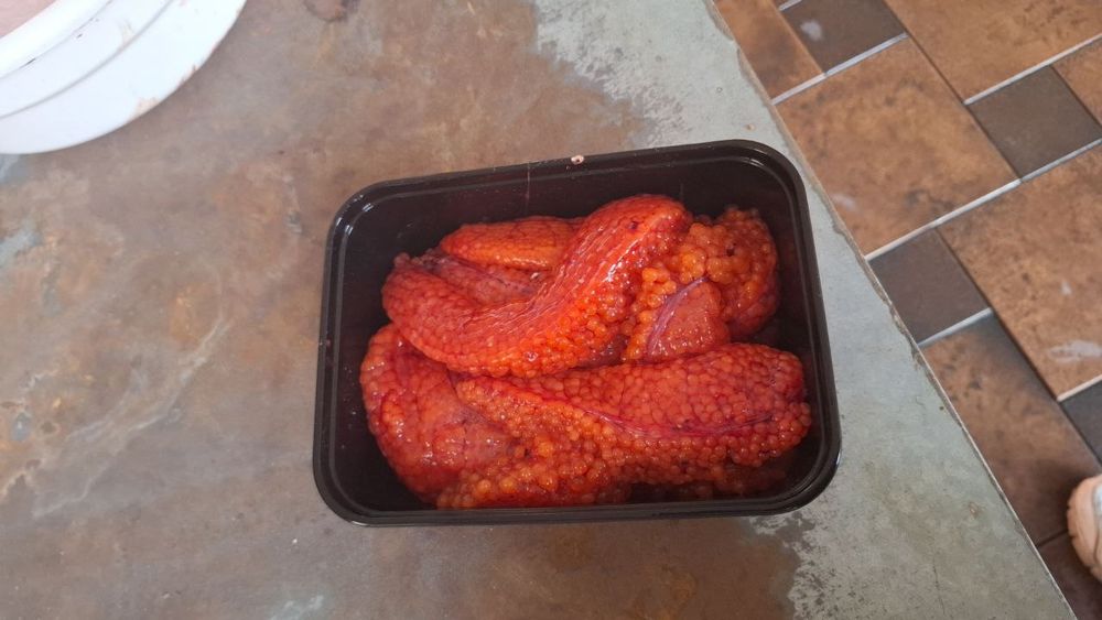 Риба Фарель свежая с бесплатной доставкой по Ташкенту. Сырая красная и