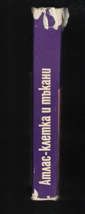 Атлас - клетка и тъкани. Чакъров и Начев.