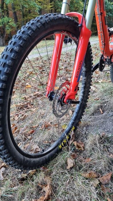 Gt verb elite 2016
