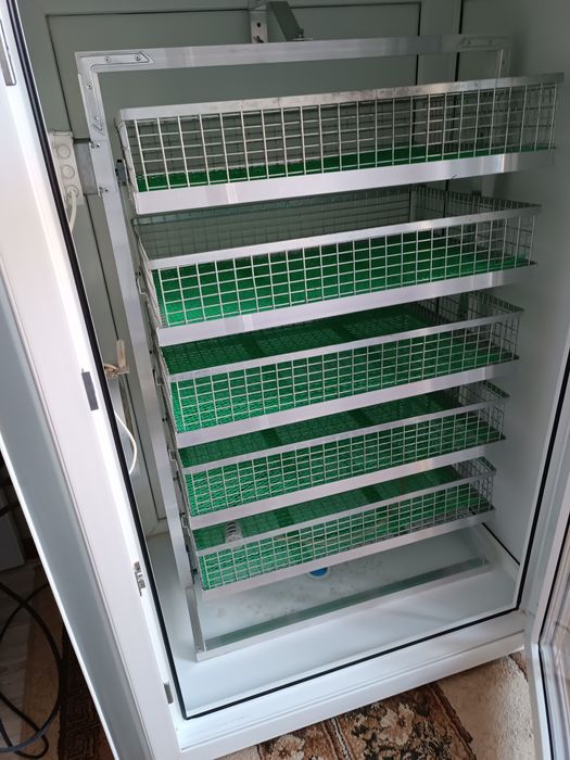 Инкубатор норма рейс