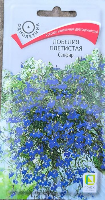 Зур уруглар келтирилган скидкада