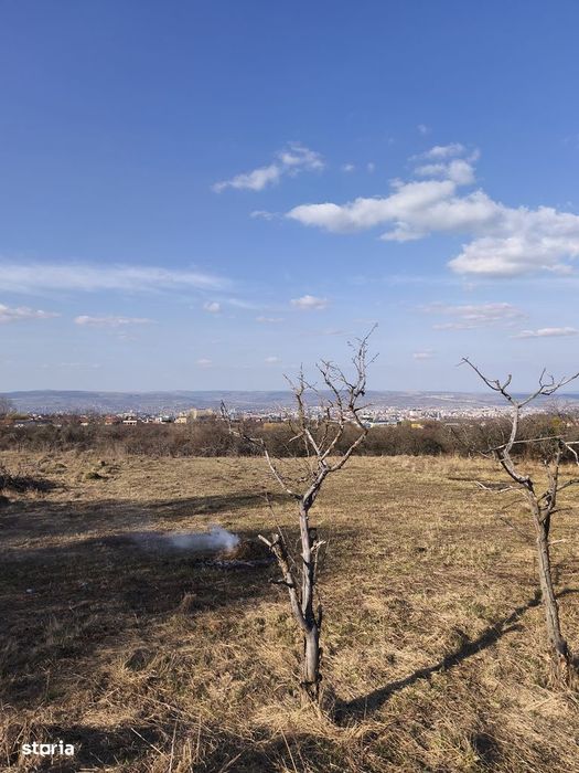 Teren 7721 mp racordat la rețeaua de electricitate