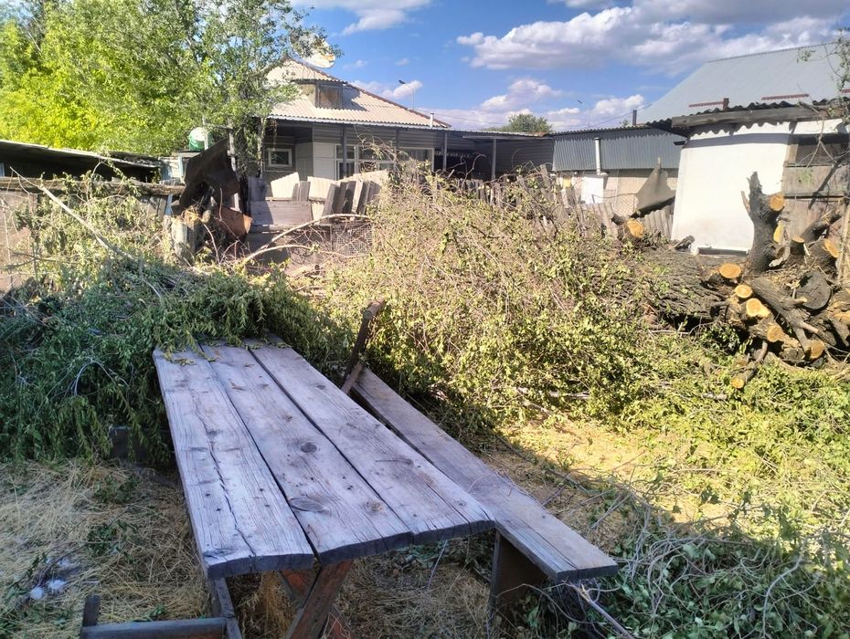 Отдам дрова бесплатно