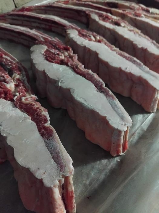 Продам мясо конина