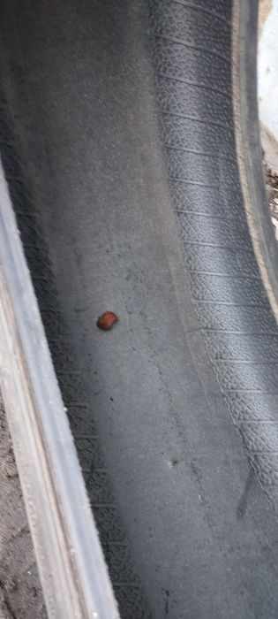 Баллоны лето р15