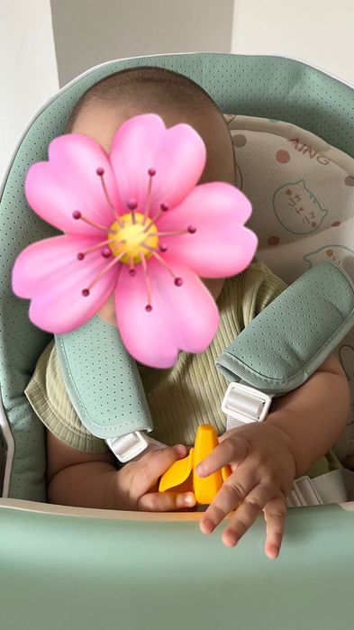 Стульчик  детский для кормления