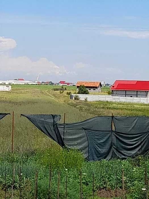 Vand teren intravilan in Cosoveni